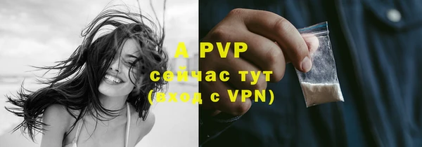 стаф Баксан