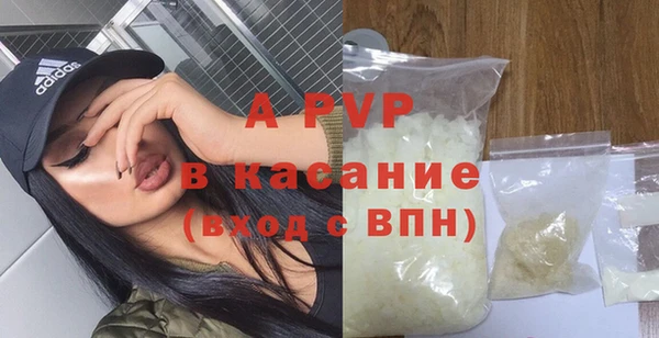 стаф Баксан