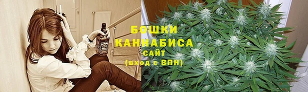 стаф Баксан