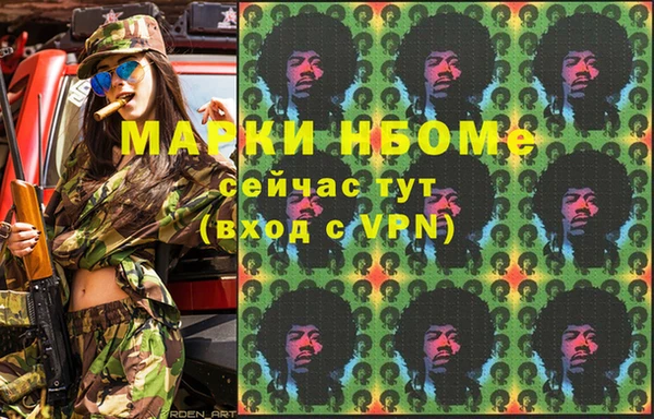 стаф Баксан