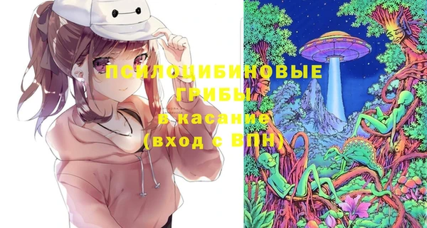 стаф Баксан