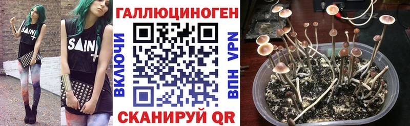 что такое   кракен зеркало  Псилоцибиновые грибы мухоморы  Гаврилов-Ям 