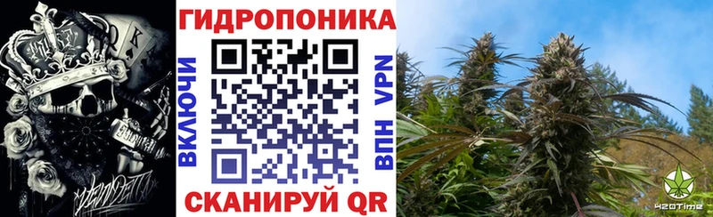 кракен онион  Гаврилов-Ям  Канабис AK-47 